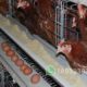 Chicken Feeder Trough Roll Forming Machine